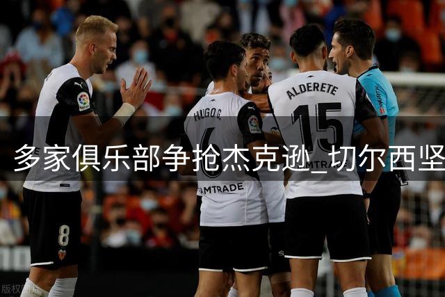 多家俱乐部争抢杰克逊 切尔西坚持6500万英镑永久转会