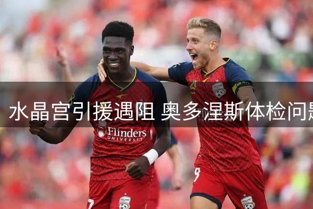 水晶宫引援遇阻 奥多涅斯体检问题影响转会